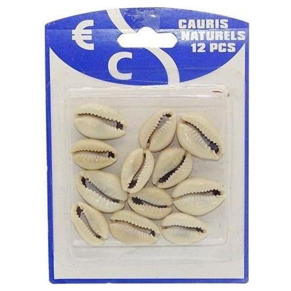 Hair Shell (12) :Cauris