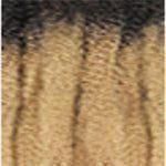Janet Collection 5x EZ Wet & Wavy 28" Synthetic Hair - Image 4