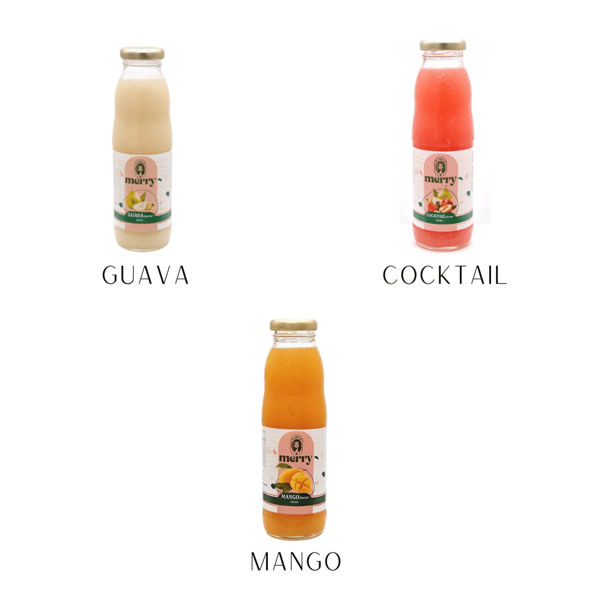 Merry Fruit Juices (Mango/Guava/Cocktail) 350ml